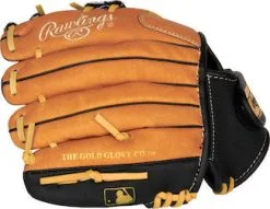 BB GLOVE RAWLINGS SURE CATCH YTH 10'' BS23 -Baseball sale shop 0a40964b30ecb560c951580fb6fa9195