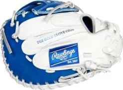 SB GLOVE RAWLINGS RLACM34FPWRP 34'' BS23 -Baseball sale shop 33f7c97b13474a0f3f6175a30d7b9bb6