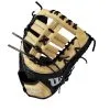 BB GLOVE- WILSON A2K- JOSE ABREAU W/ Spin Control 12.5- BS23