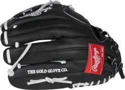 FB GLOVE RAWLINGS HOH PRO125SB-18GB 12.5'' -BS23 -Baseball sale shop 98fe3402b01100303aaca65264e4c305