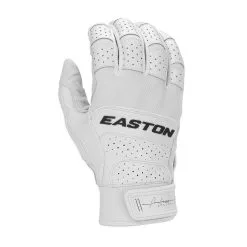 BAT GLOVE EASTON PROFESSIONAL BS23 -Baseball sale shop 9e35fe5ba14db4950e2c2ef6eae52f53 66ae6880 39a6 4ea0 8037 3a2db7ad82e6